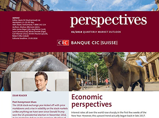 CIC perspectives 02/18